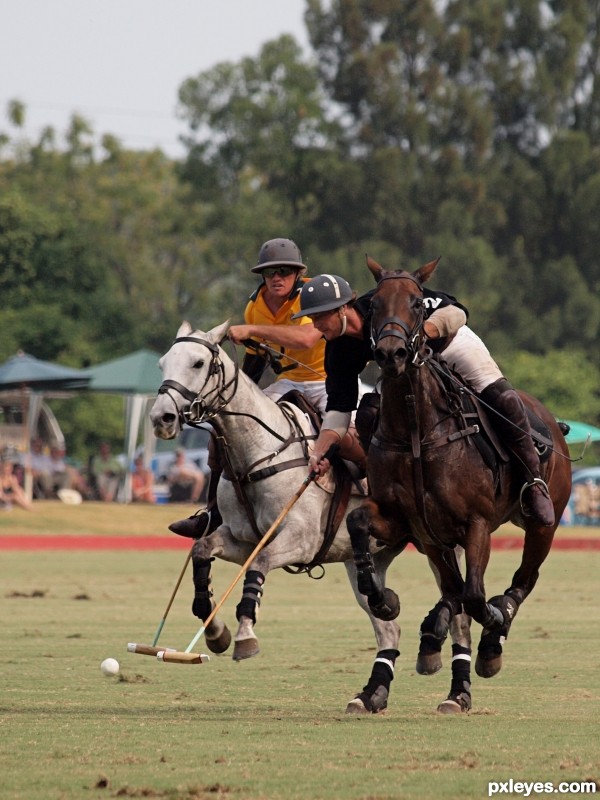 Australia v New Zealand